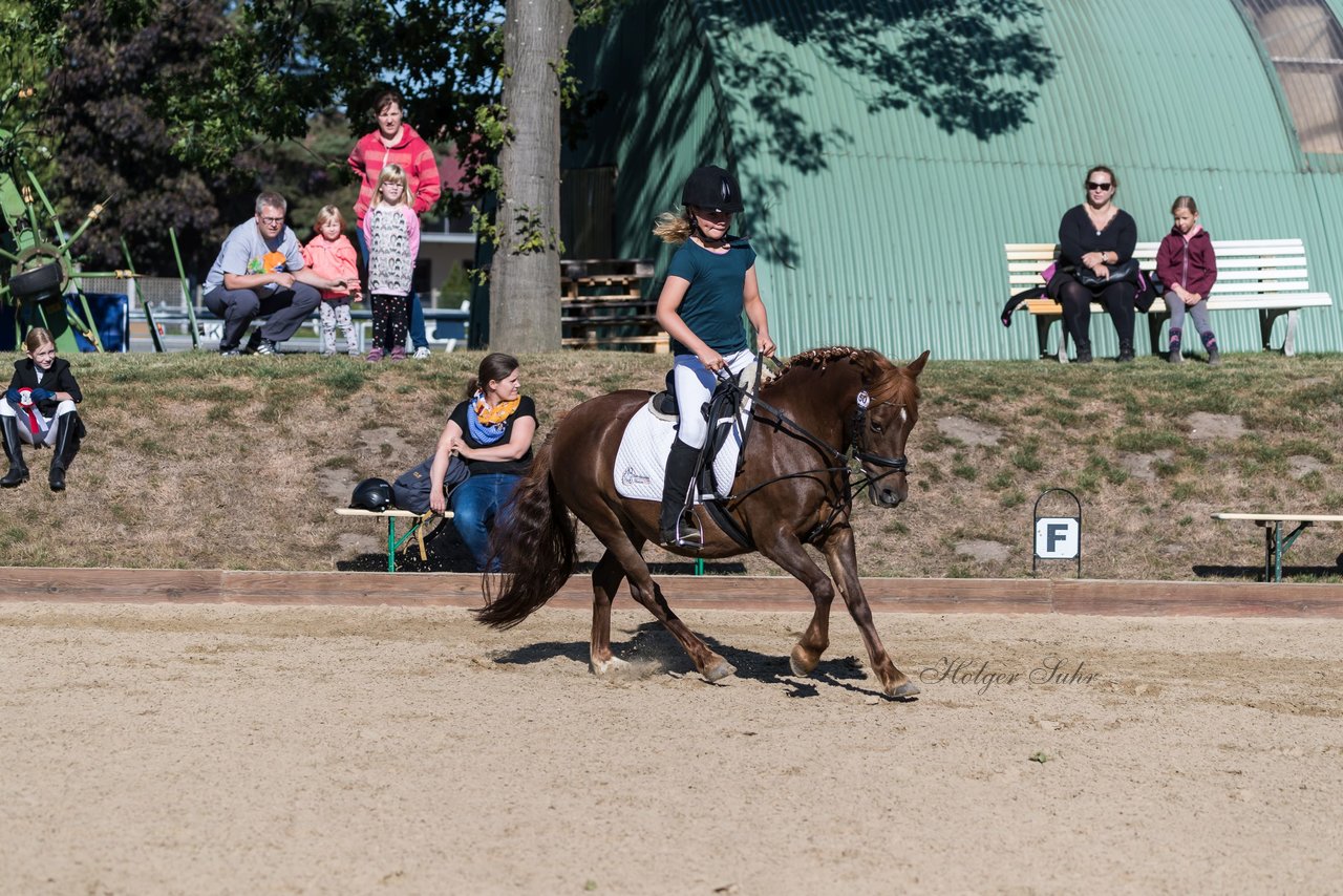 Bild 58 - Pony Akademie Turnier